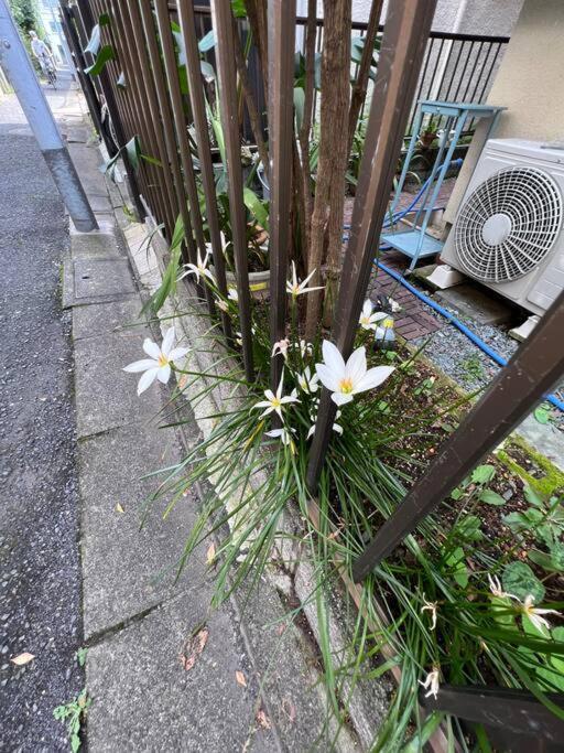 東京芳华驿站 Daire Tokyo Dış mekan fotoğraf
